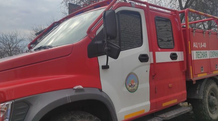 Свыше 1200 специалистов защитят брянские леса от огня