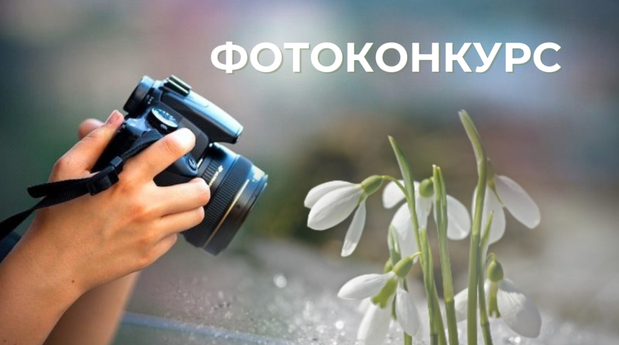 Трубчан приглашают принять участие в фотоконкурсе «В фокусе — весна»