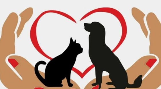 В Трубчевском районе проходит благотворительная акция