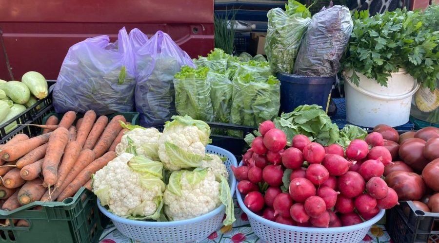 Ярмарки выходного дня начинают работать в Брянской области с 4 апреля