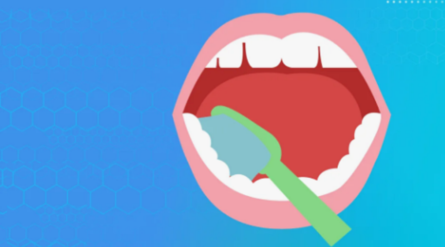 Брянцам рассказали об ответственном отношении к здоровью полости рта