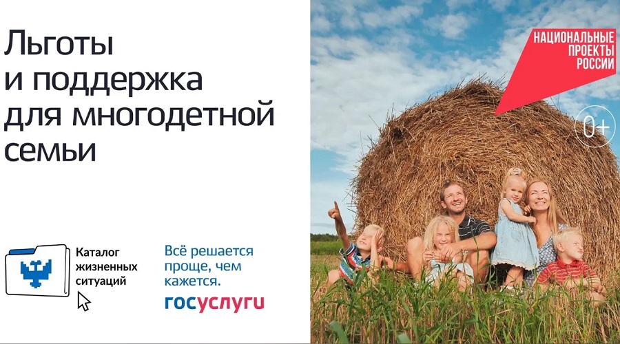 Брянцы активно пользуются каталогом «жизненных ситуаций» на Госуслугах