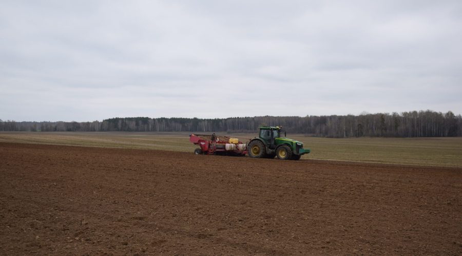 В Климовском районе Брянщины сажают картофель