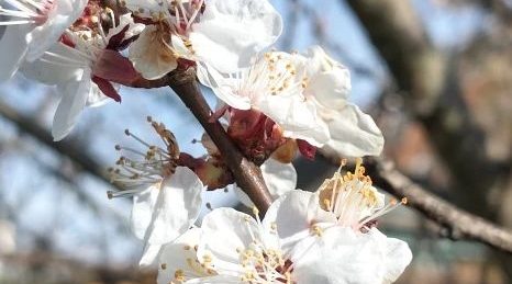 Трубчанам — о погоде на завтра