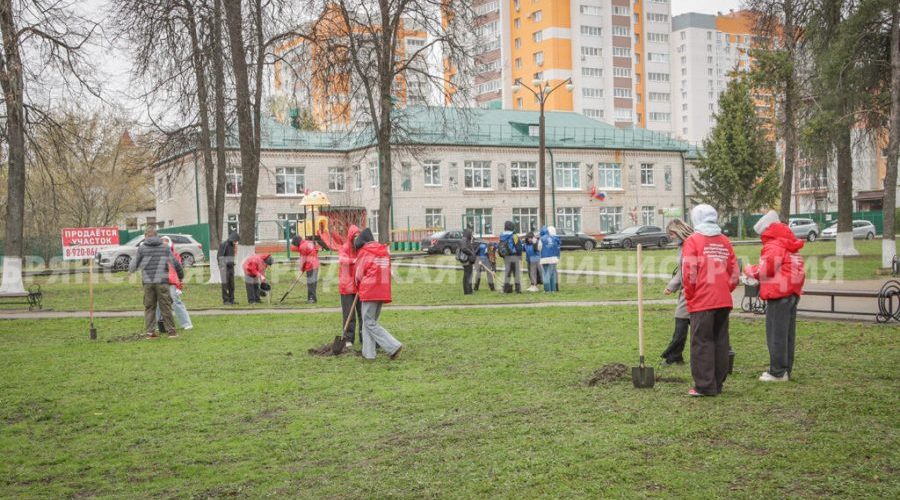 В Брянске посадили клены в память о трагедии на ЧАЭС