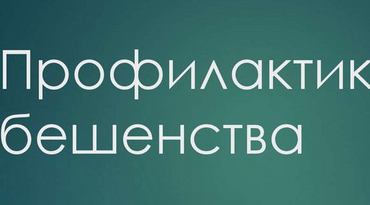О профилактике бешенства трубчанам рассказали специалисты санитарной службы района