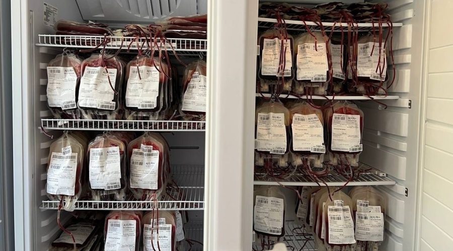 Брянцам рассказали, как донорская кровь спасает жизни