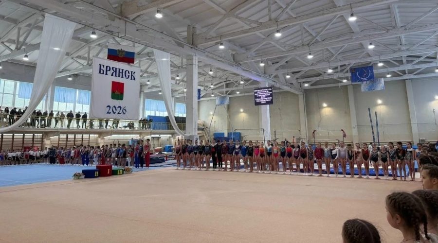 В Брянске соревнуются гимнасты