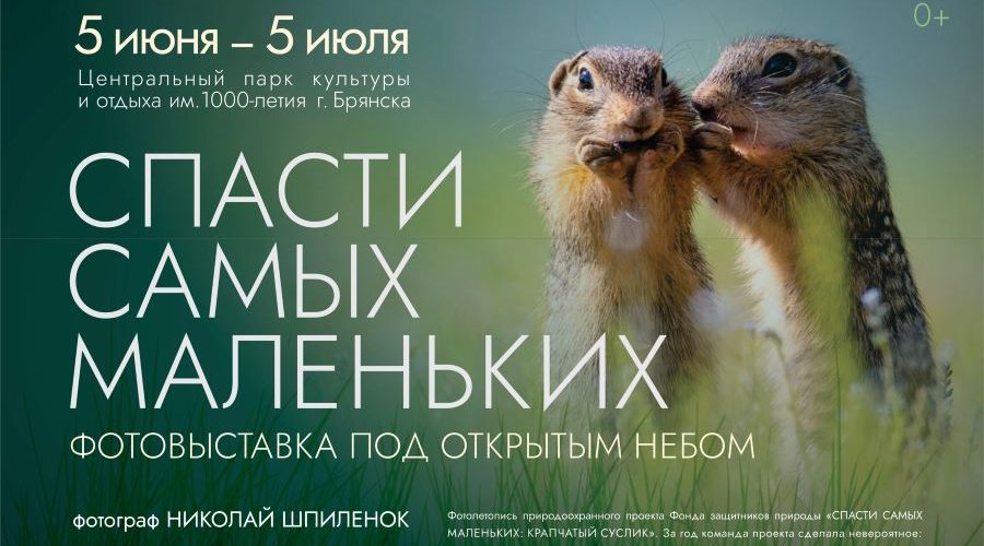 Трубчанам – об открытии выставки «Спасти самых маленьких»