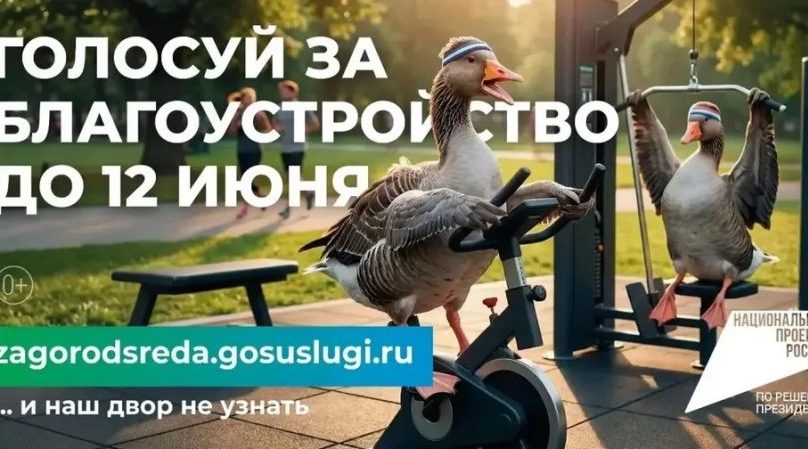 Голосование за объекты благоустройства в Трубчевске по нацпроекту продолжается