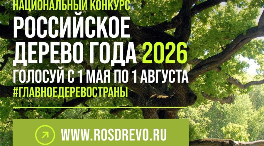 Трубчан приглашают принять участие в выборе «Дерево года-2026»