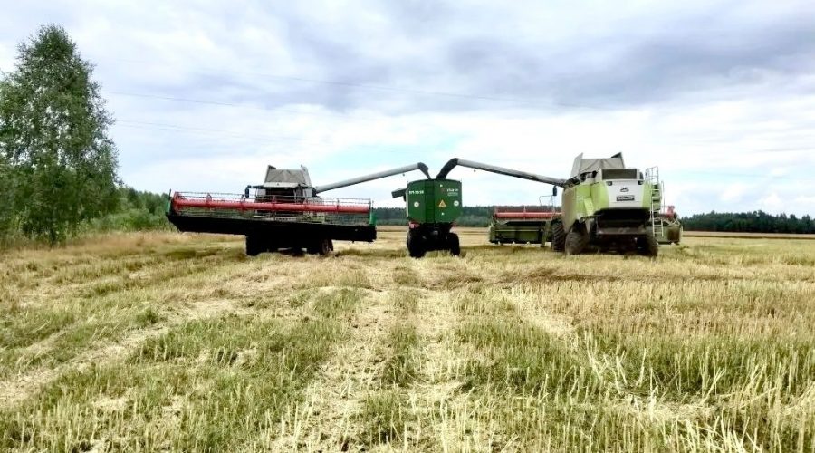 Аграрии Брянщины начали уборку зерновых культур