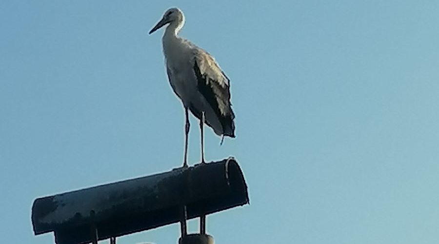 Трубчанам — о погоде во вторник, 7 июля