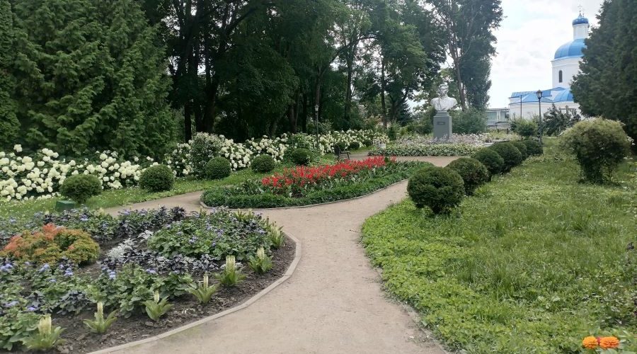 Трубчанам — о погоде в воскресенье, 19 июля