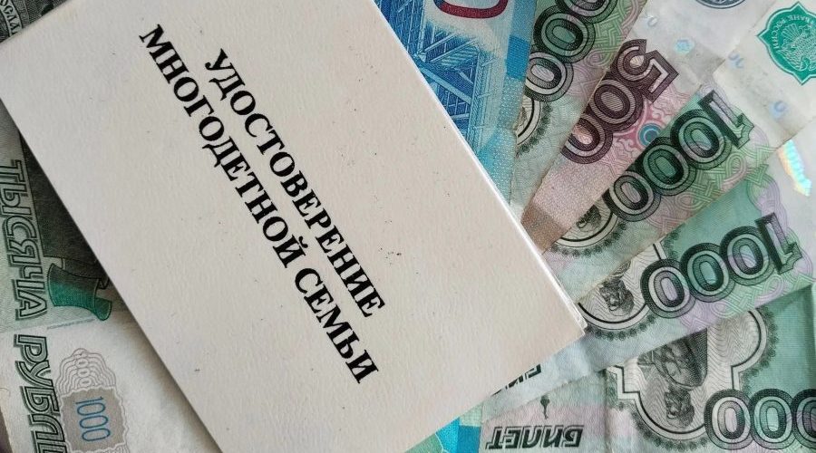 Многодетным семьям Трубчевского района напомнили о пособиях к школе