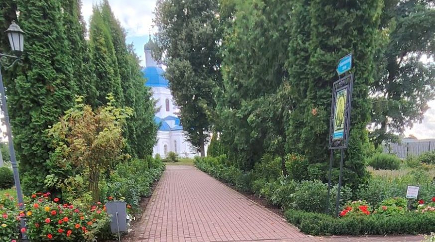Трубчанам — о погоде в понедельник, 10 августа