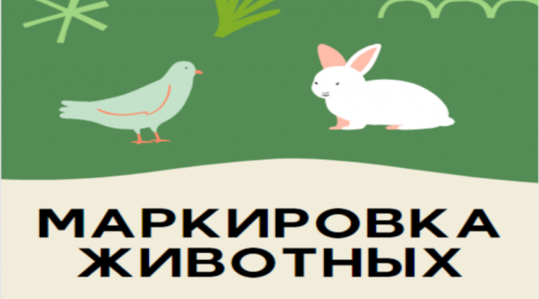 Специалисты Трубчевской райветстанции — об обязательной маркировке домашней птицы и кроликов