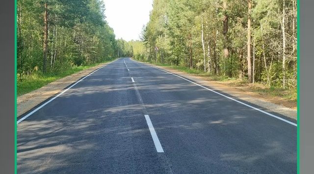 В Рогнединском районе Брянщины по нацпроекту провели капремонт участка дороги