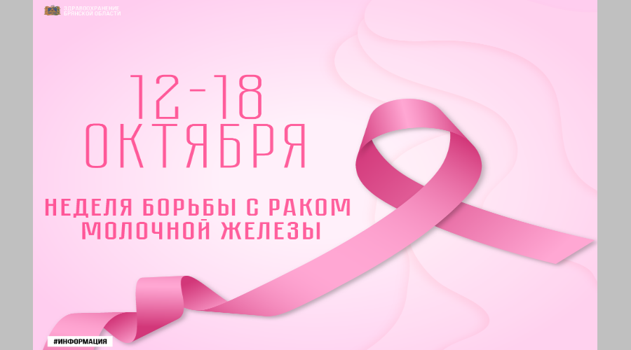 Росгвардейцы провели для школьников урок по безопасности дорожного движения в Брянске