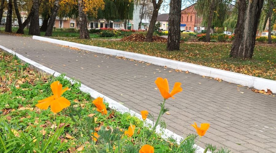 Трубчанам — о погоде в четверг, 22 октября