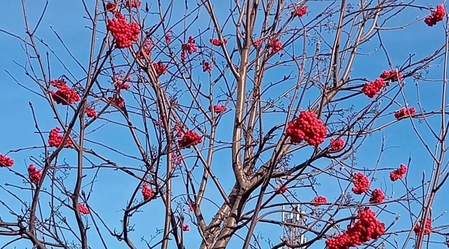 Трубчанам — о погоде в четверг, 29 октября