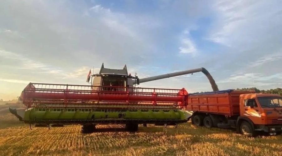Аграрии Брянщины завершают уборку урожая