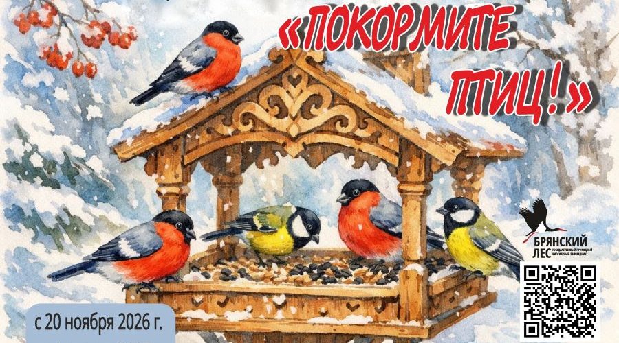 Трубчанам – о конкурсах и акциях заповедника «Брянский лес»
