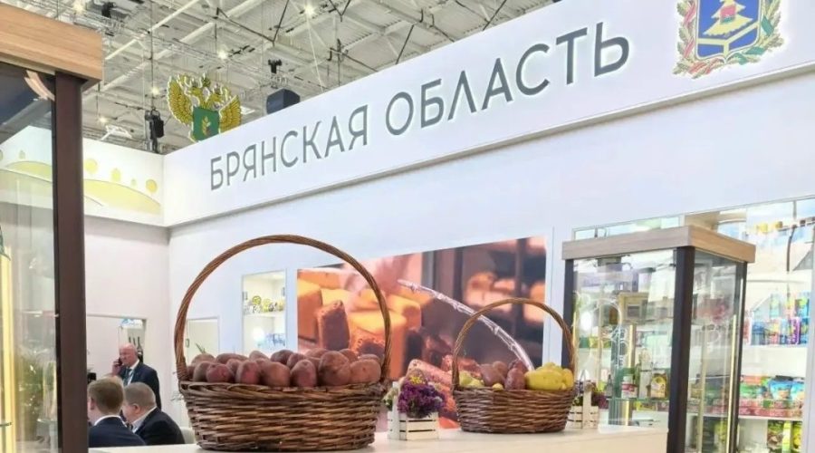 Агропромышленный потенциал Брянщины представлен на выставке «Золотая осень»